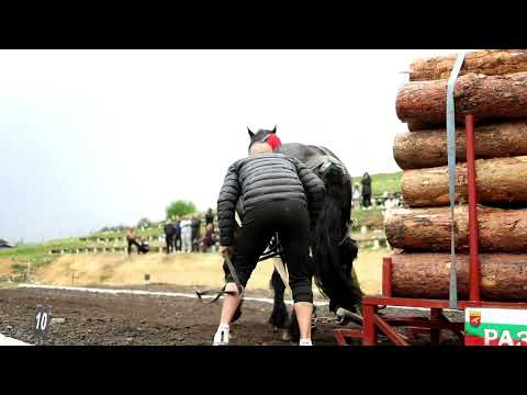 Видео: 28 април 2025 г.