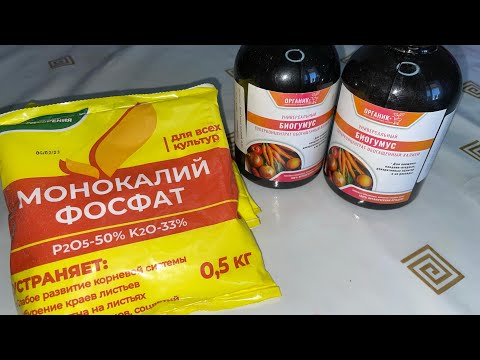 Видео: Бөлме гүлдерге КӨКТЕМ/ЖАЗДА қажет 2 ВИТАМИН❗️