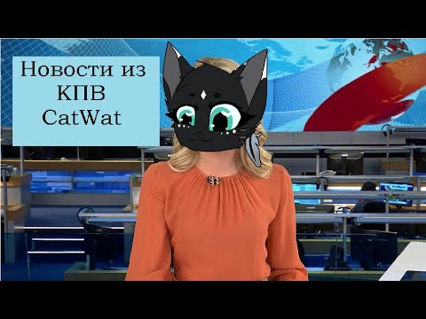 Видео: Новости КПВ / CatWar