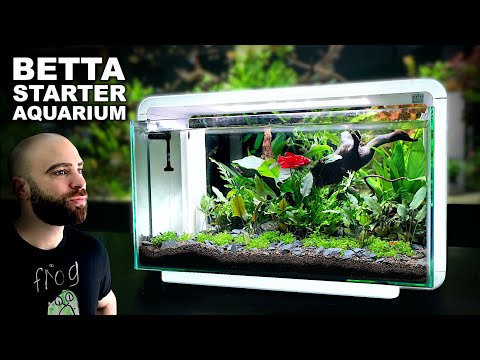 Видео: Бюджетная установка BETTA, которую нельзя пропустить!