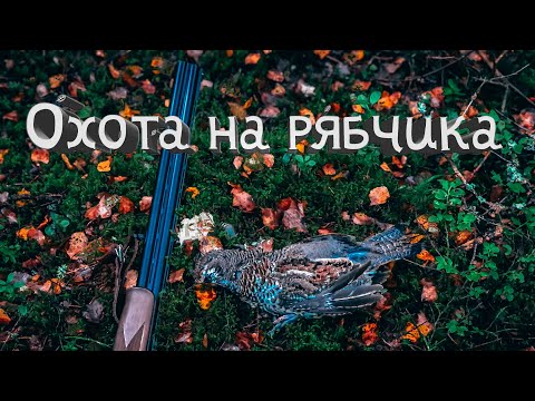 Видео: Охота на рябчика с cz mallard gen 2 20/76