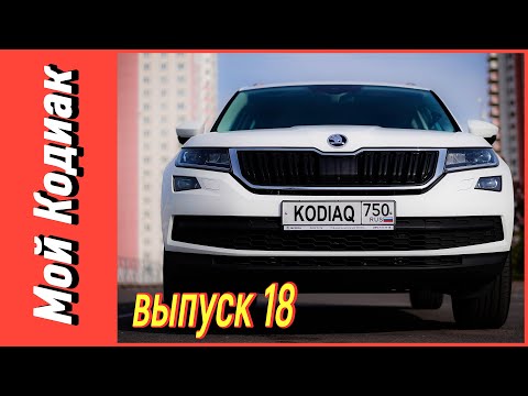 Видео: Мой Кодиак || ВОПРОС-ОТВЕТ #2  ответы на вопросы зрителей