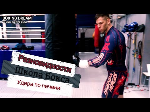 Видео: Школа бокса. Разновидности удара по печени
