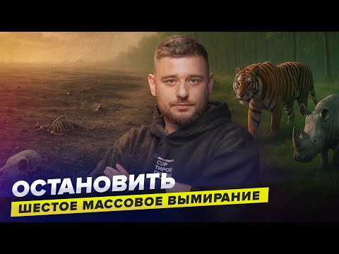 Видео: Массовое вымирание: как люди уничтожают планету — и есть ли шанс всё исправить? | Сортировочная
