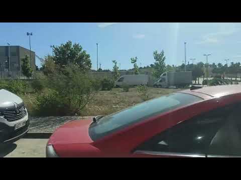 Видео: 15 сентября 2025 г.