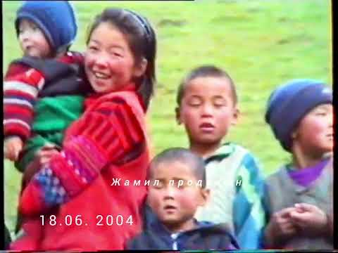 Видео: Арадан 20 жыл өттү. Балапандар  чоңойду