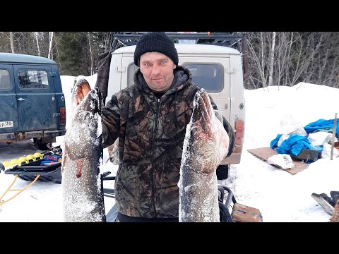 Видео: ЭТИ ЩУКИ РВУТ ВСЕ СНАСТИ!!НОЧУЕМ В"БУХАНКЕ"!Часть вторая!