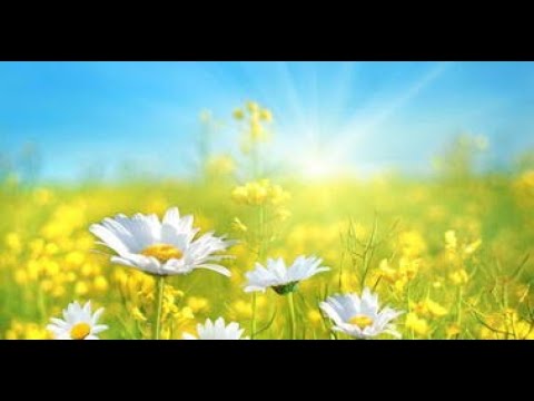 Видео: " Літні чистомовки"