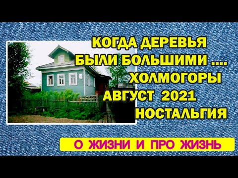 Видео: Когда деревья были большими  Холмогоры август 2021 Ностальгия