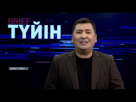 Видео: Елде өмірін сақтандыратындар көбейді / BRIEF.Түйін / 22.09.24