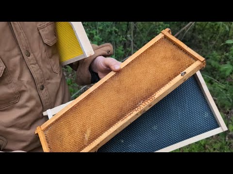 Видео: 🔵Полное руководство по изготовлению еще большего количества гребней!