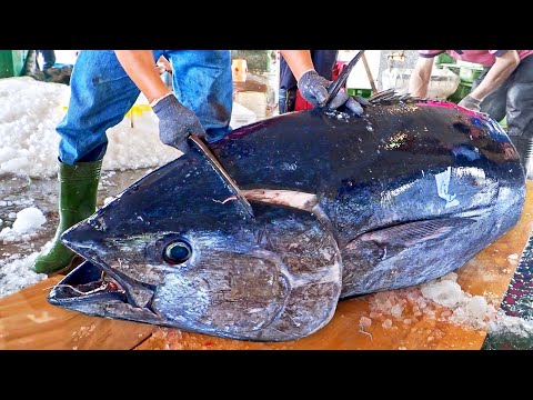 Видео: Самая высокая скорость резки！Гигантский синий тунец, нарезанный за 5 минут, тушеные глаза тунца