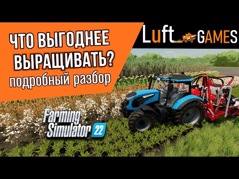 Видео: Что выгоднее выращивать в Farming Simulator 22? | подробный разбор