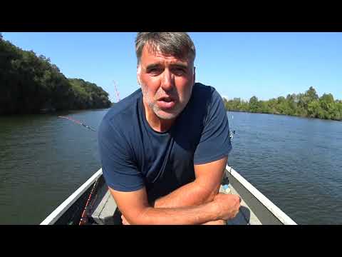 Видео: Держись и двигайся, чтобы поймать толстого сома