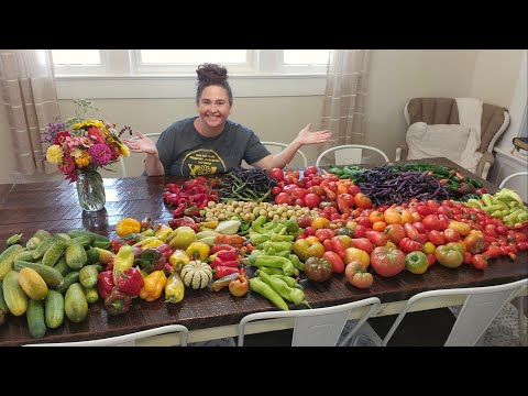 Видео: Я провел целый день за консервированием | Сохранение сада | Задача «Каждый кусочек имеет значение»