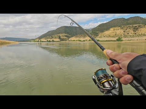 Видео: СУДАК весной на Ebro и Segre 2 ЧАСТЬ