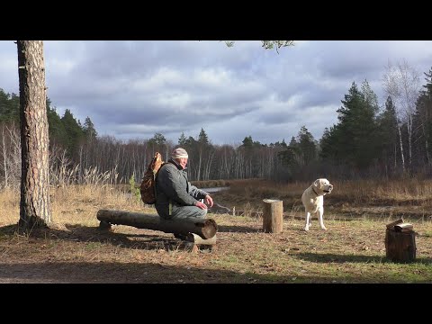 Видео: Мещера/  р  Пра/ 13 ноября 2022