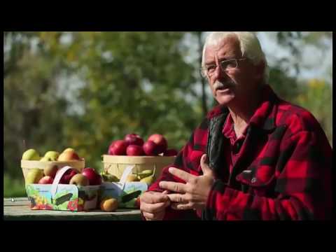 Видео: Пермакультурный  сад  03