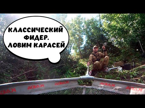 Видео: Ловим карася на реке. Классический фидер. Поклёвки крупным планом.