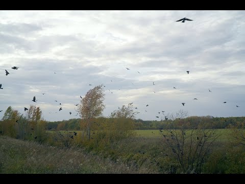 Видео: "РЕФРЕН"... (Фото Измаила ЕФИМОВА (Йошкар-Ола), музыка Андрея ЭШПАЯ)