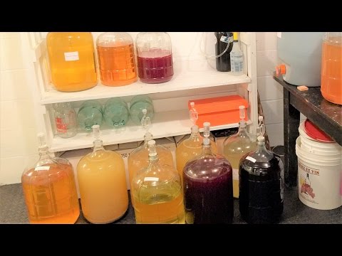 Видео: Решение проблемы запаха тухлых яиц в вине — сероводород