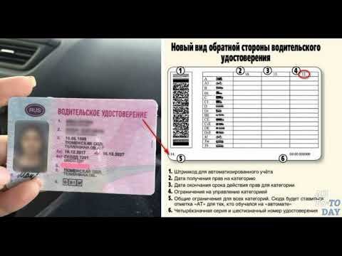 Видео: "Я БЫЛ МЕРТВЫЙ..." В ЧЕМ ОПАСНОСТЬ ПРИНЯТИЯ ВОДИТЕЛЬСКОГО УДОСТОВЕРЕНИЯ?!