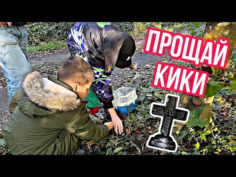 Видео: ВЛОГ /😱 РЕАКЦИЯ СОБАКИ НА СМЕРТЬ ХОМЯКА / 🐹🪦ХОРОНИМ  КИКИ