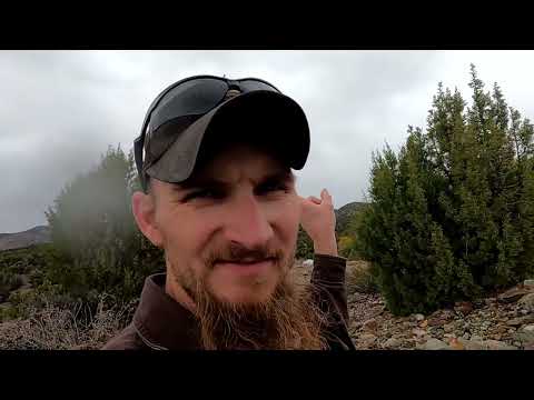 Видео: Исследование старой золотодобывающей фабрики