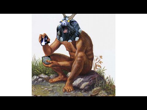 Видео: Самый подробный гайд по Сове | Balance druid 3.3.5