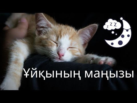Видео: Сапалы ұйқы | Ұйқының денсаулыққа маңызы...