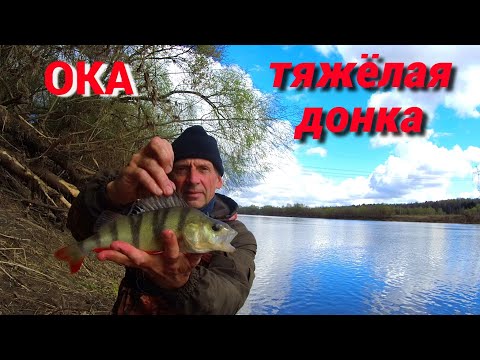 Видео: ВЫПОЛЗОК и ДОНКА ЛОВЯТ ВСЮ РЫБУ. Рыбалка на ОКЕ ранней весной.