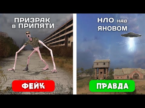 Видео: 4 Мифа из STALKER - Проверка ПРАВДА или НЕТ