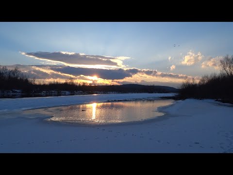 Видео: Риба рве жилку.  Річка Прут