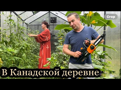 Видео: По хозяйству￼ в Канадской деревне// огород//готовим в казане