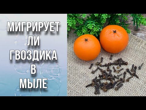 Видео: Есть ли миграция от гвоздики в мыле/Личный эксперимент/2 вида основы/Мыловарение/Soap