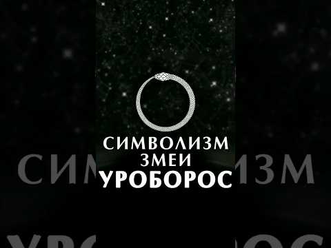 Видео: что символизирует змея Уроборос? #философия #філософія #змея