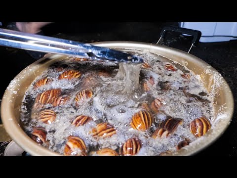 Видео: Я пробовал пожирать смертельно ядовитых улиток.