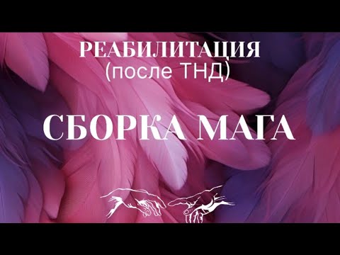Видео: ВРЕМЯ ПРИШЛО-СОБРАТЬСЯ В МАГА #пробуждение #темнаяночьдуши #переход 