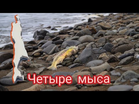 Видео: Четыре мыса Сахалина. 13 и 14 сентября.