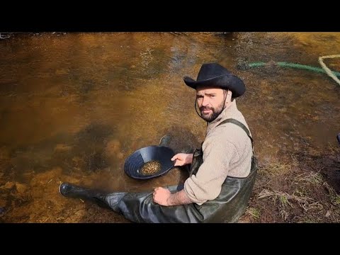 Видео: Золото Северной реки