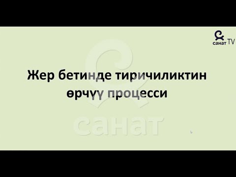 Видео: Биология 9 класс 56 сабак