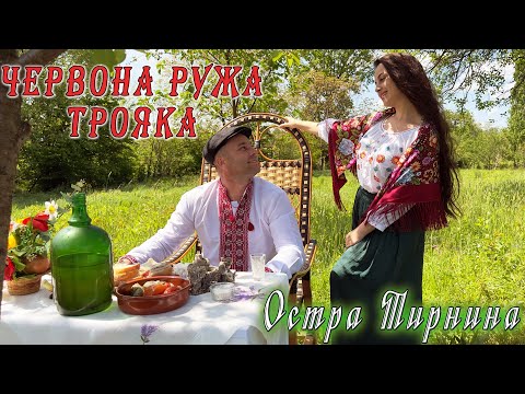 Видео: Остра Тирнина - Червона ружа трояка