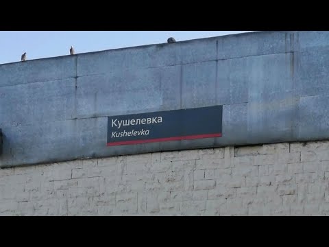 Видео: Один день на станции "Кушелевка" #1