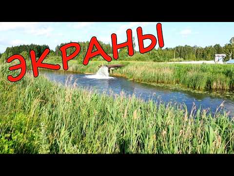 Видео: Вот это РЫБАЛКА!!! РЫБА на каждом ЗАБРОСЕ!!!