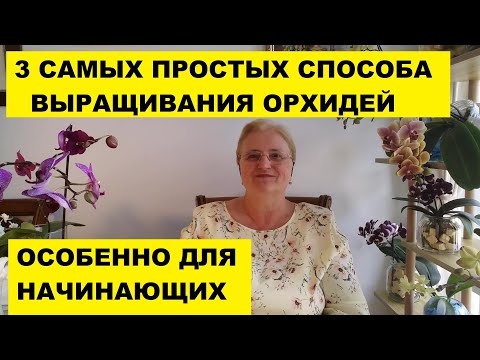 Видео: ТРИ САМЫХ ПРОСТЫХ СПОСОБА ВЫРАЩИВАНИЯ ОРХИДЕИ ФАЛЕНОПСИС. ОСОБЕННО ДЛЯ НАЧИНАЮЩИХ