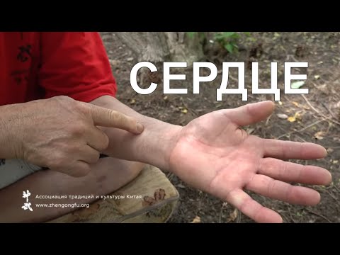 Видео: СЕРДЦЕ - точки для профилактики лекция Здоровье с Му Юйчунем