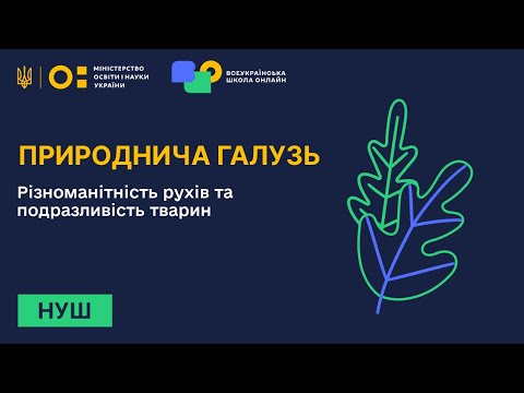 Видео: Природнича галузь. Різноманітність рухів та подразливість тварин