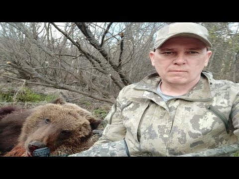 Видео: Охота на медведя подранка 2022. Нападение медведя