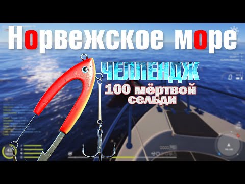 Видео: Челлендж 100 мертвой сельди • Гига-джиг с мертвой рыбой • Норвежское Море • Русская Рыбалка 4