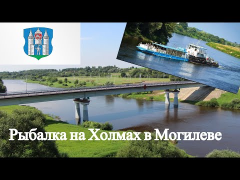 Видео: Рыбалка на Холмах в Могилёве.